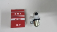 Cam Su Fiskiye Motoru Universal 12V EMA WP 800