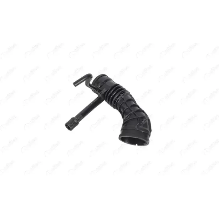 Hava Filtre Korugu Palio Siena 1,2 8V 96> | NIFEA 15032 | OEM 46558214
