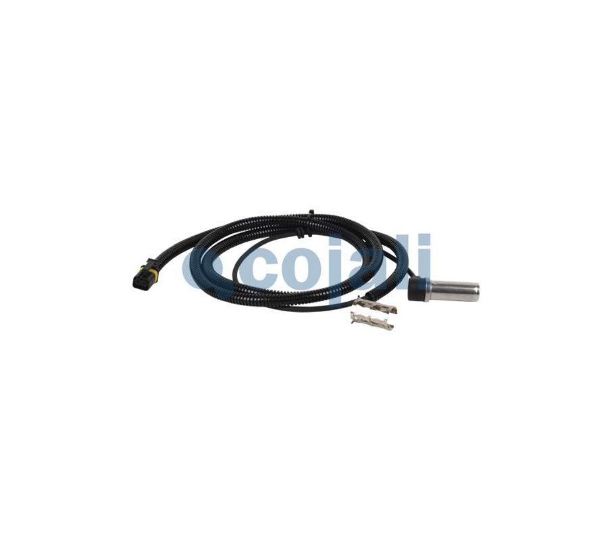 ABS Sensörü - Sağ 1800 2000 - TGA,TGS,TGX | OEM 81271206168