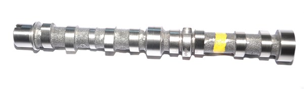 Eksantrik Mil Seti Euro 5 (Emme-Egzoz) Doblo Linea Corsa 1.3 JTD 16V | GEMSAFT FTALB05-06 | OEM 55206898 55206898 55206897 55206897
