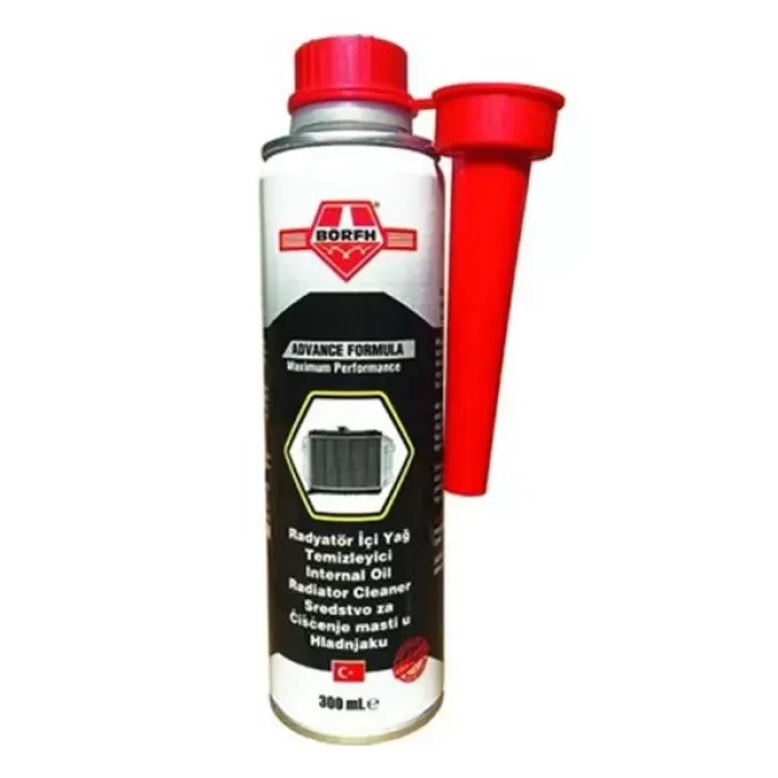 Motor Içi Yag Temizleyici 300 Ml | BORFH 6020263