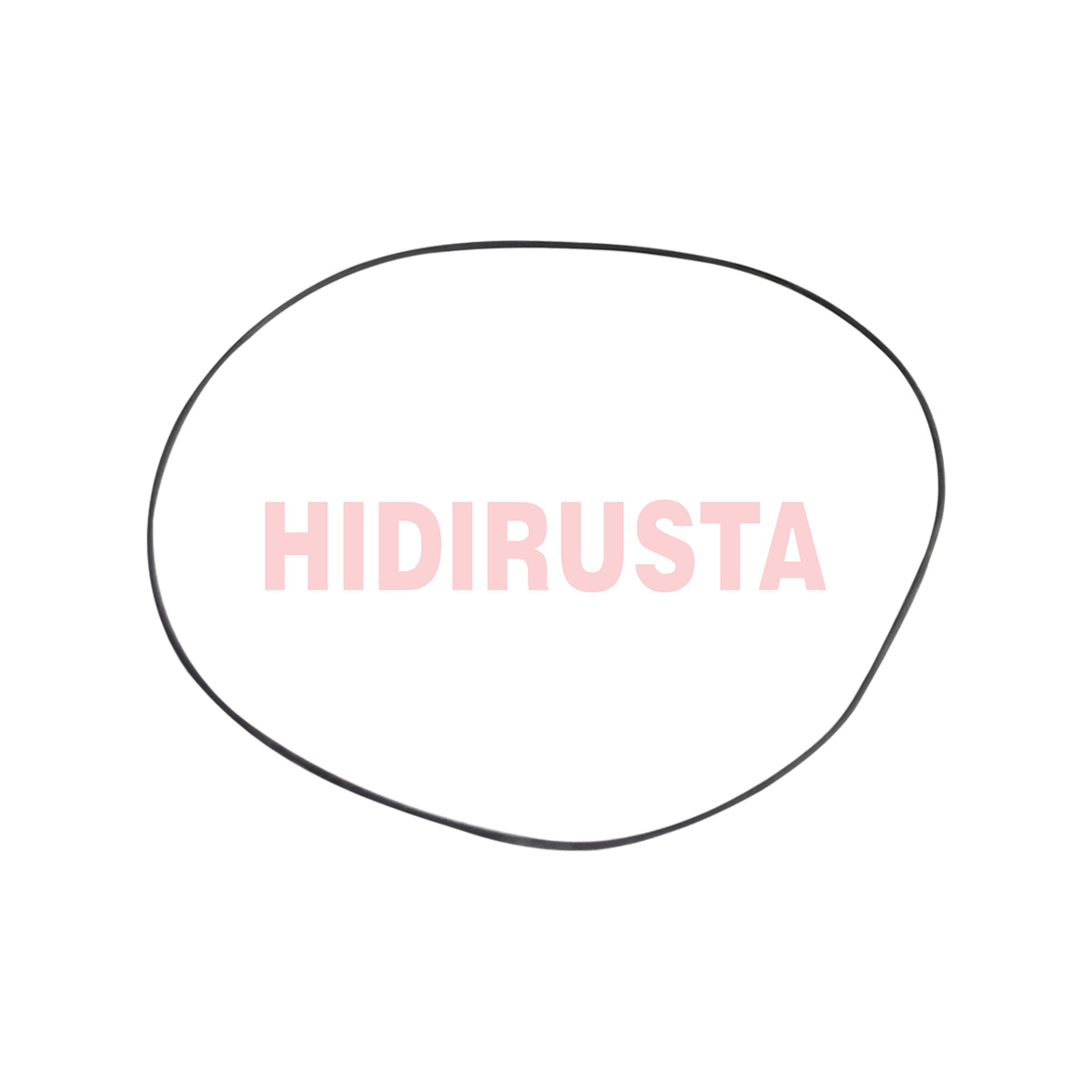 Retarder R115E Otobüs Y.m İnce Oring ( 1 Ad.kullanilir-2Mm-180Mm ) | OEM H01098649