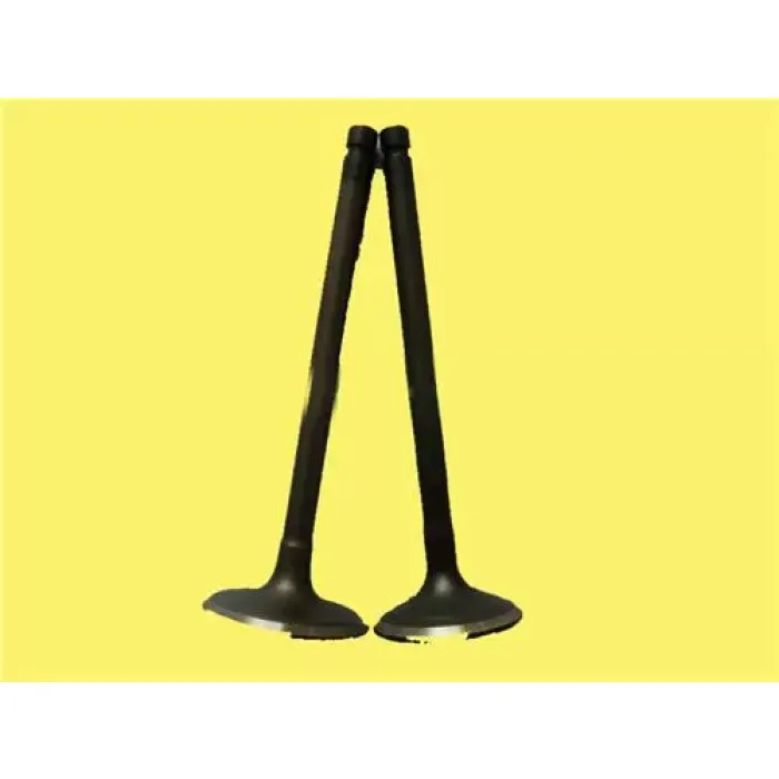 Subap Takimi X20XEV Vectra A / B Astra F | GUNES 4037-4038 | OEM 641022 641325