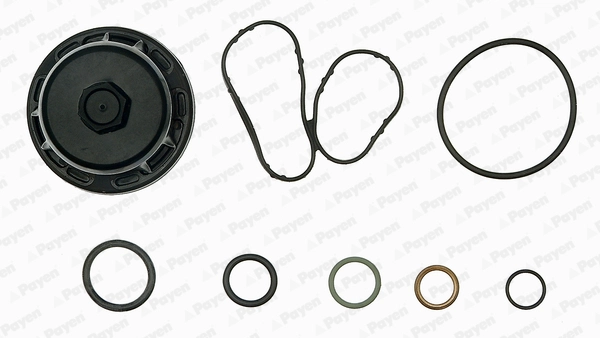 Krank Kecesi On Nissan Navara 2,3 2015 -> | PAYEN EG9760 | OEM 101013580R 4431845