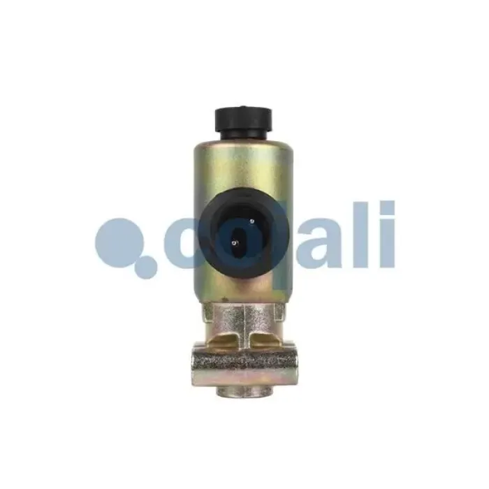 Selenoid Valfi (Manyetik Bobin) - Ford Cargo / Scania / DAF / Iveco / Volvo / Otokar | COJALI 2218206 | OEM YC44 4K072 AA 4721706060 2089740