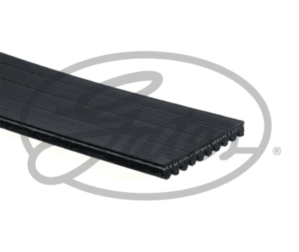 Kayış 10Pk2150HD Intouro Euro 6 (10Pk2150-10Pk2151) | OEM A0029938196