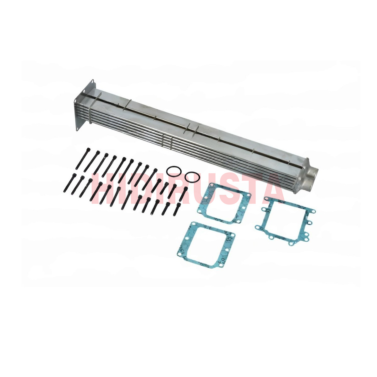 Tamir Takımı Agr D 2066-D 2676 | OEM 51081007304
