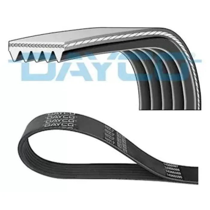 Kanalli Kayis A4 A6 1.9TDI Passat 1.9TDI 5PK1592 | DAYCO 5PK1588 | OEM 028903137AI 028903137AI 028903137AJ 028903137AR 028903137AJ 028903137AR