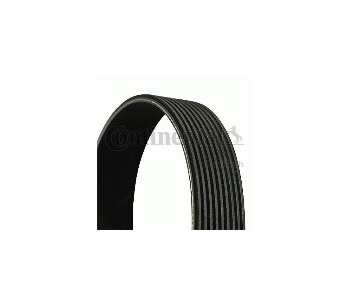 Kayış 9Pk1881 (9Pk1885) Actros | OEM A0009932696