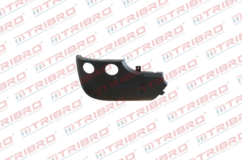 Tampon Scania Sağ Streamline | OEM 1865183