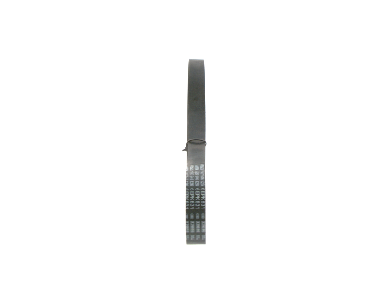 Kanalli Kayis Transit 2.0 00 06 6PK0831EE | BOSCH 1987946126 | OEM 1C1Q6C301AD