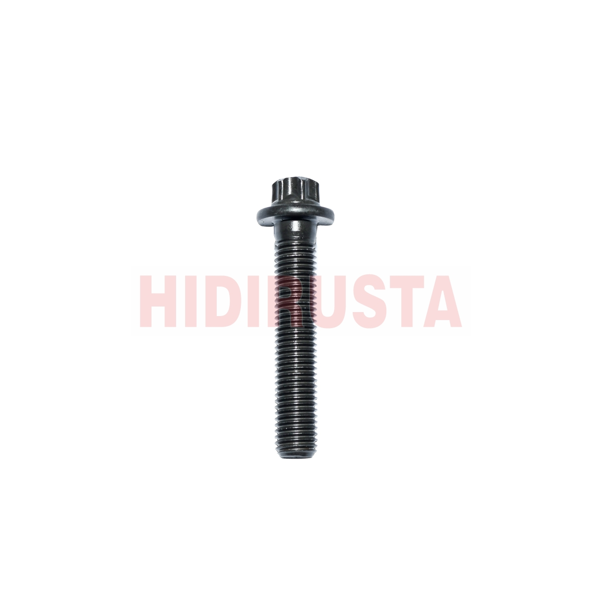 Civata Piston Kol D0836-D0834 | OEM 51904900028