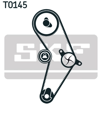 Devirdaimli Eksantrik Rulman Kiti (Triger Seti) Albea Brava Bravo Doblo Punto Idea Marea Palio Siena Stilo Egea 1,2 16V / 1,4 16V 03> (124X220) | SKF VKMC 02204-3 | OEM 46352295