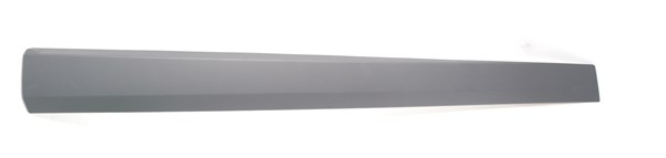 Kapi Bandi On Sol (Astar Boyali) Fluence | MARAL M210121 | OEM 808770290R