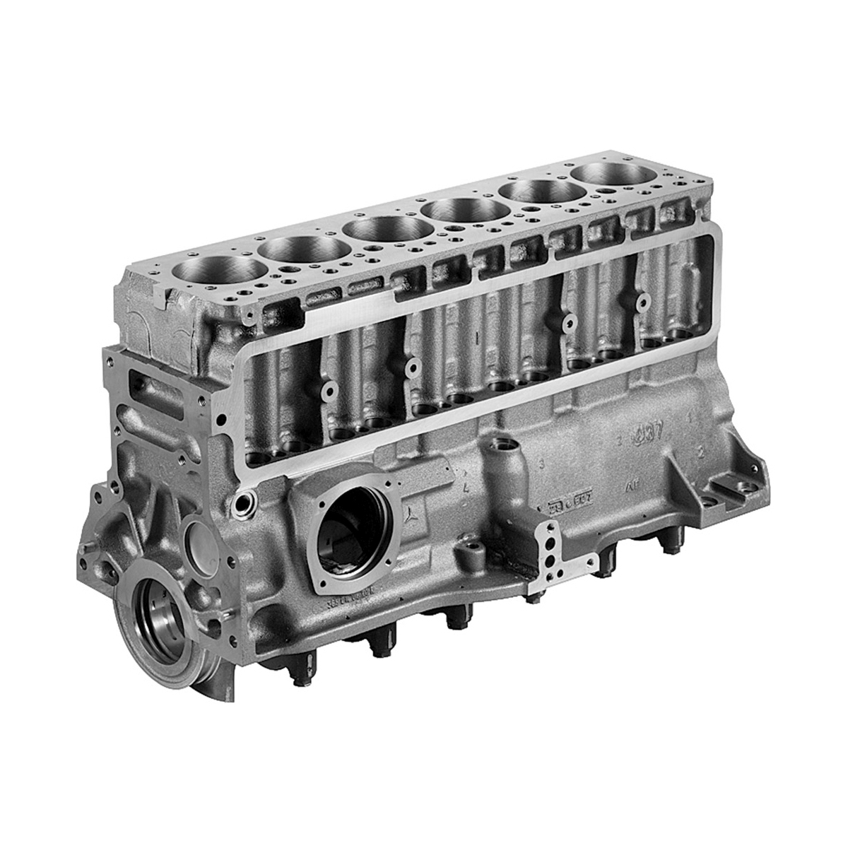 Motor Bloğu 2521, 2524, 2517 | OEM A3660102608