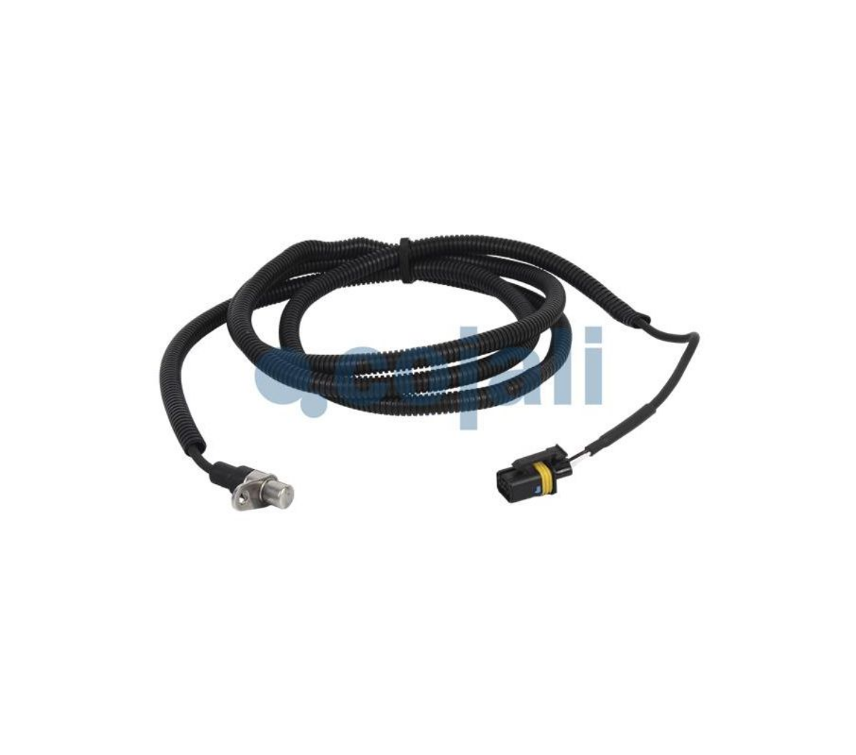 ABS Sensörü Arka - Sağ TGA,TGS,TGX - Otobüs Serisi (2065 2000) | OEM 81271206120