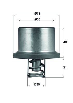 Termostat Cayenne 3.6 4.8 07>10 M4851 M4801 | MAHLE THD289 | OEM 94810612501