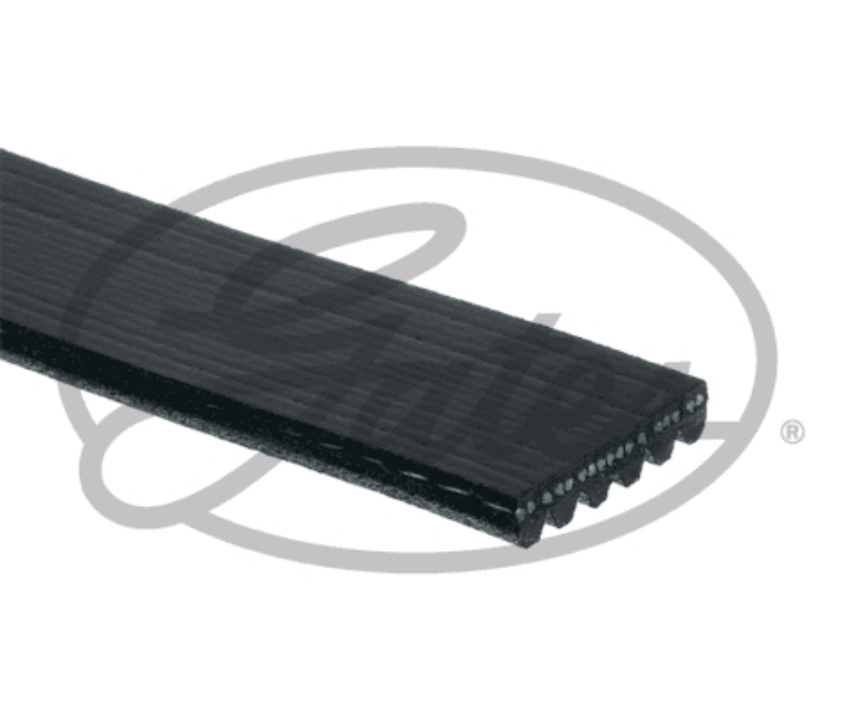 Kanallı V Kayışı (Kayış Tahriki) | OEM 11720-EN20A
