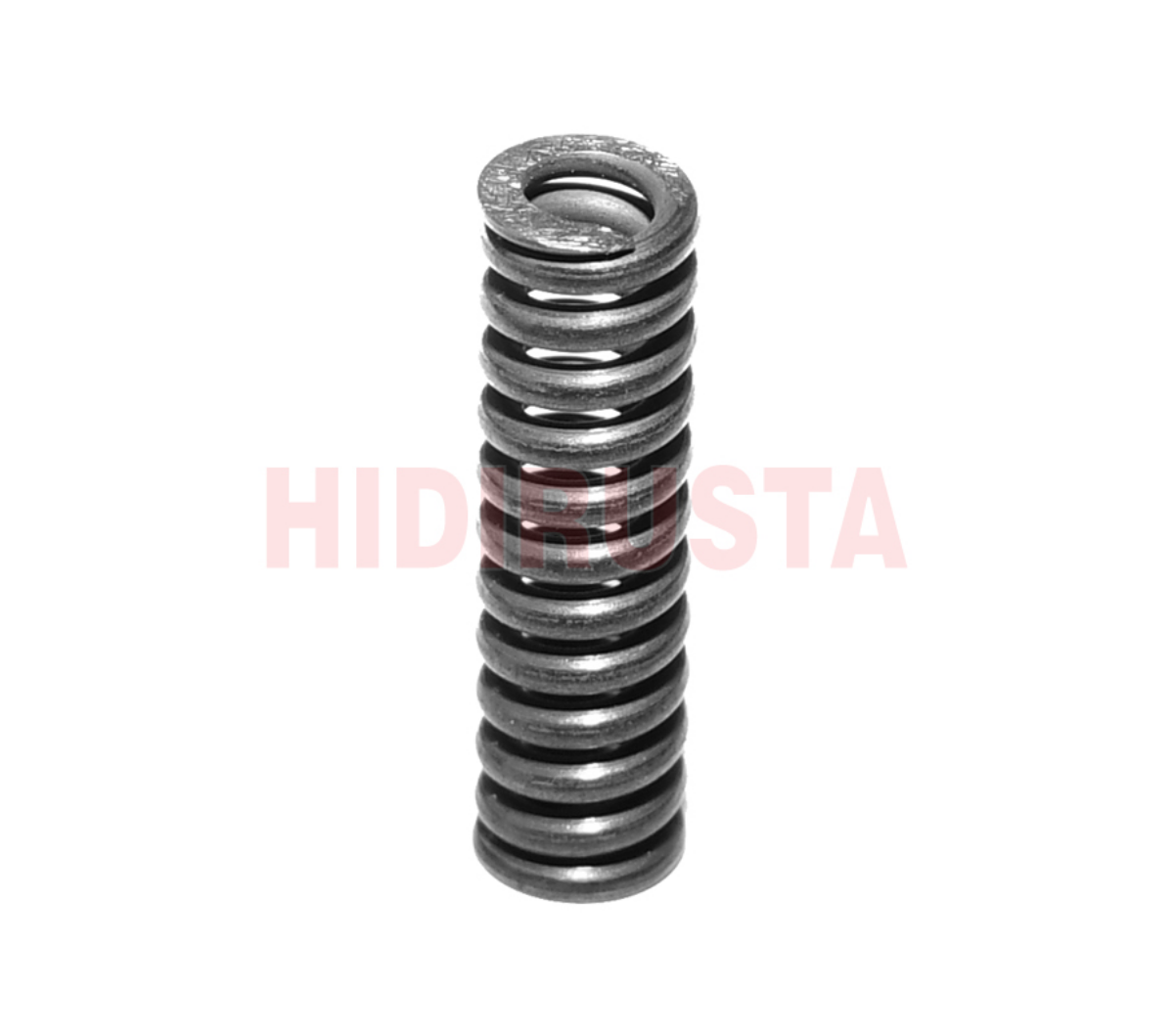 Senkromenç Yayı Ağir Seri 9S75 (3 Adet Kullanılır) | OEM 0171349