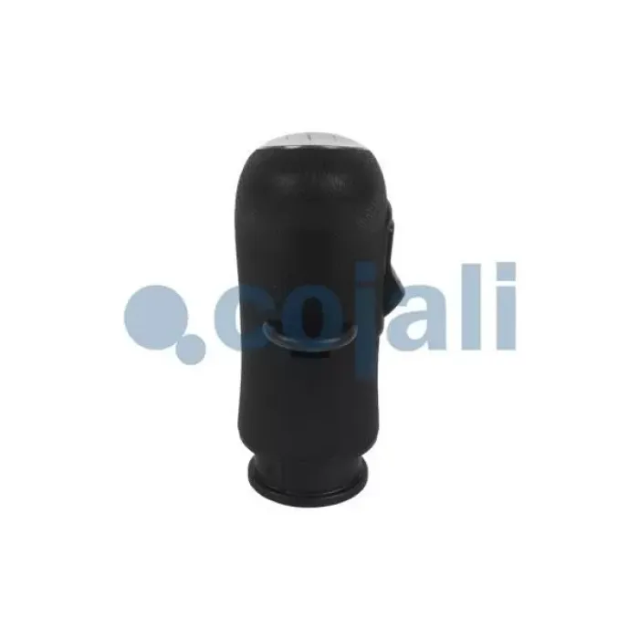 Vites Topuzu - Renault / Premium - Kerax - Midlum (Takviyeli) | COJALI 2880157 | OEM 5010639250 20707704 5010545742