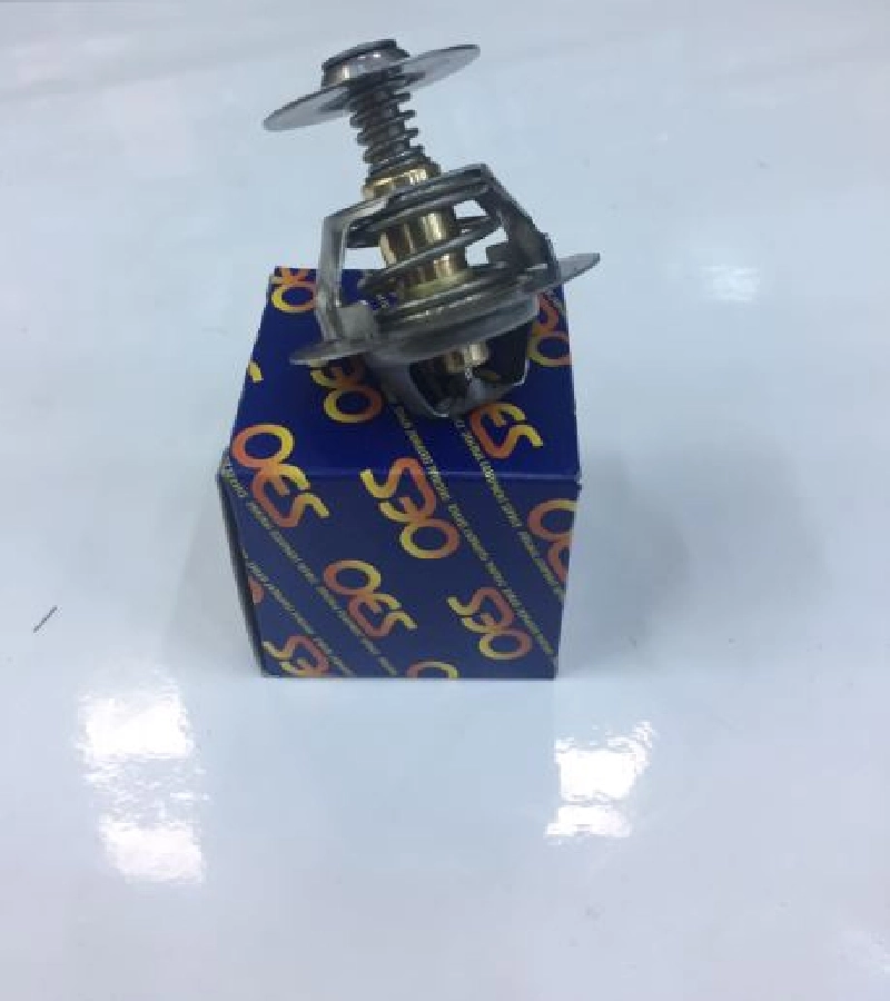 Termostat 60°C By Lı Kupilyasız T12-T15 1993-1999 Ford 89FF8575AB | OEM 390.23