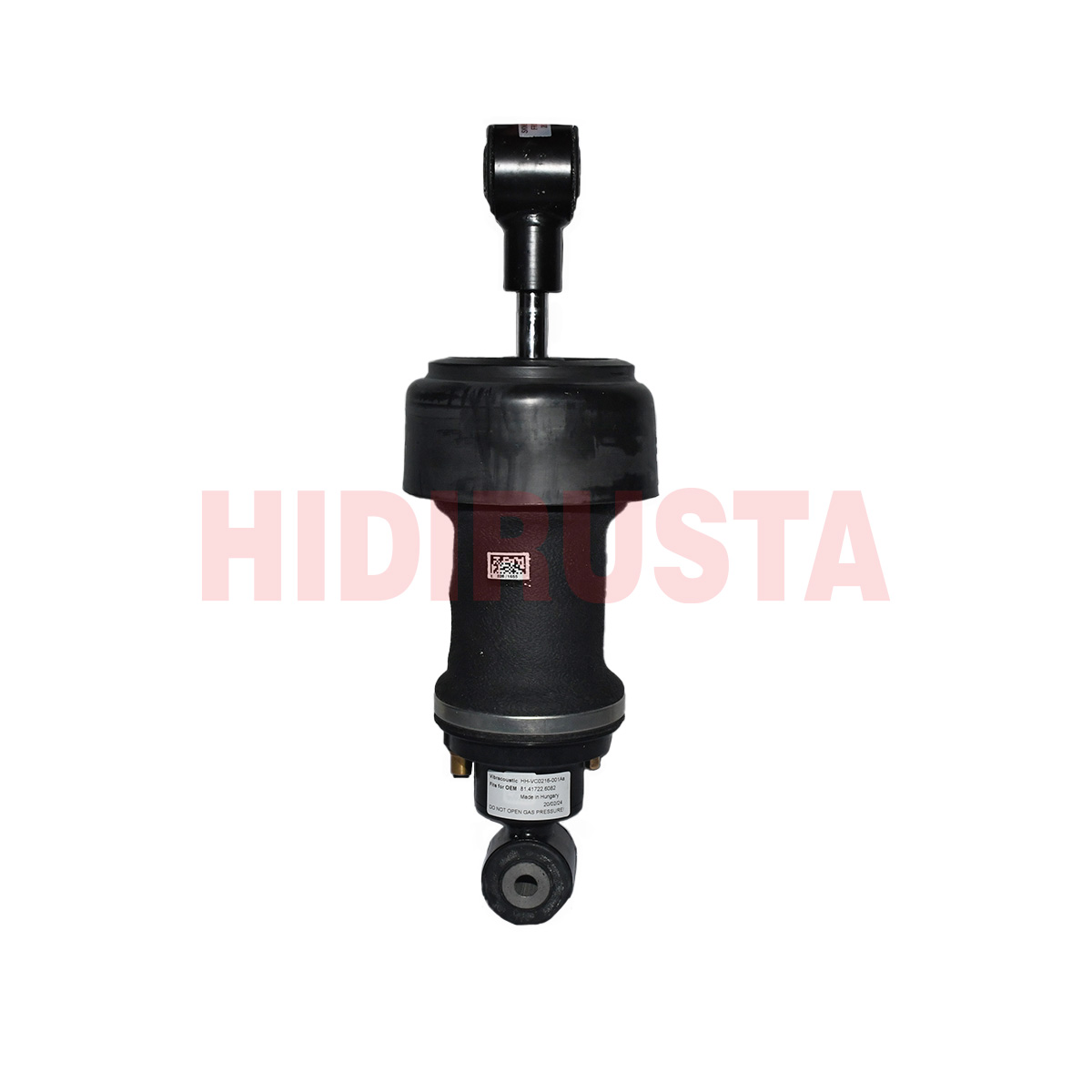 Kabin Körüğü Ön TGS-TGX Euro6 | OEM 85417226069