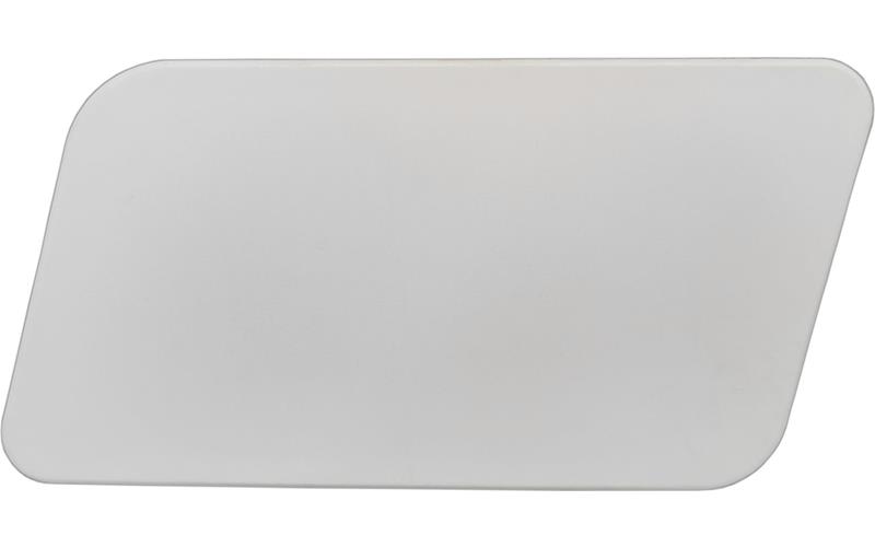 Far Çerçevesi Kapağı TGX Sol | OEM 81416100533