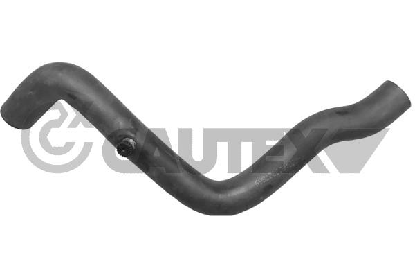 Radyator Ust Hortumu Clio Express 1,6 1,9D 91 98 | YTT Y51213 | OEM 7700824034