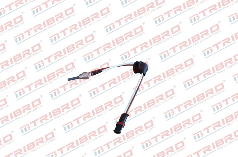 Kızdırma Bujisi Ebshr D2, D4, D4S 24V | OEM 252070011100