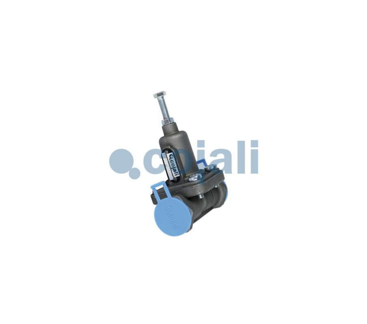 Tüp Ayar Regülatörü | OEM 000 429 63 44