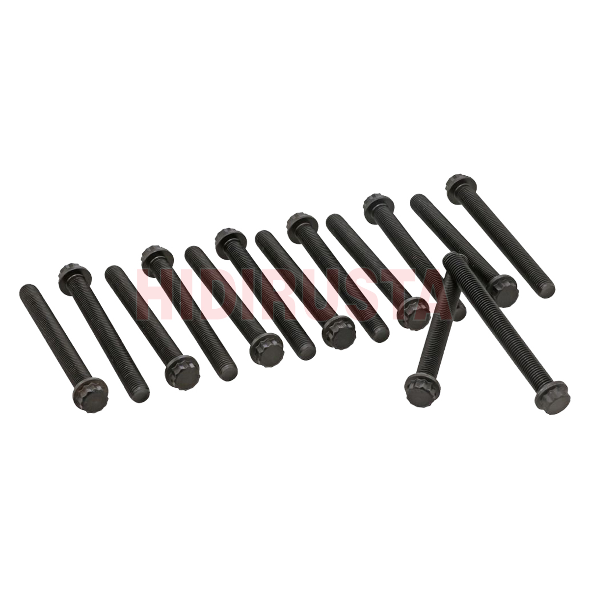 Silindir Kapak Saplaması Axor 906 Takım (14 Adet) | OEM 9060160769