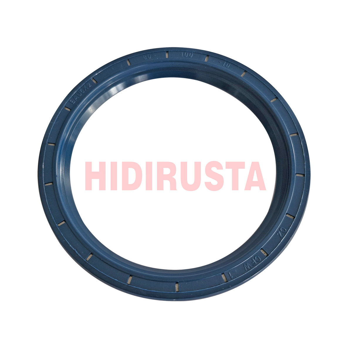 Diferansiyel Keçesi Ø80x100x10 | OEM 0049979646