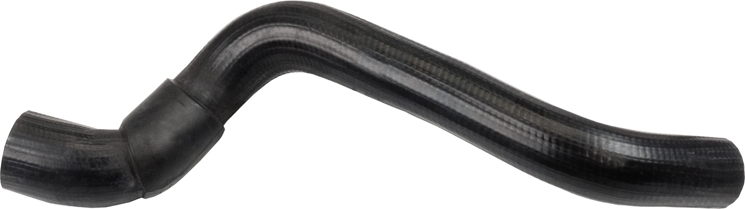 Radyator Alt Hortumu R19 | YTT Y50416 | OEM 7700790240