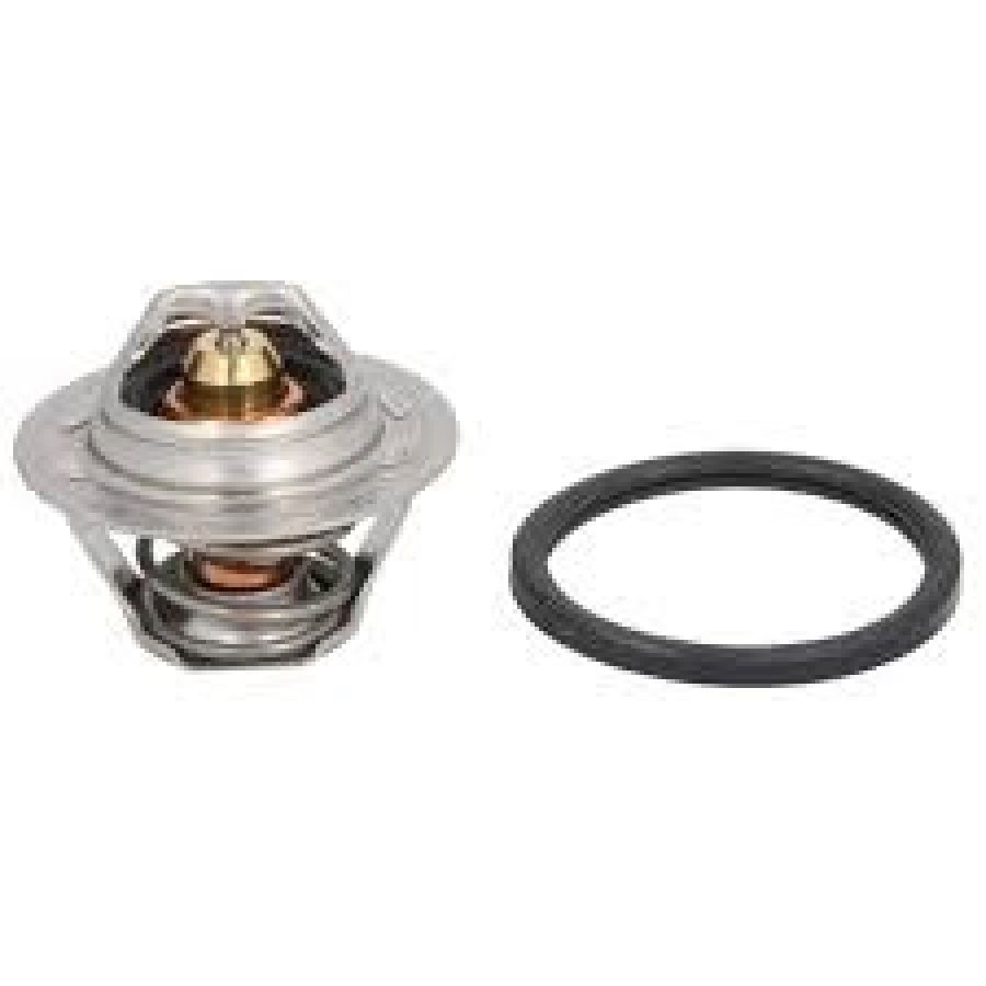 Termostat 89C Megane I-2 Renault 19 | OEM TH6047.89J