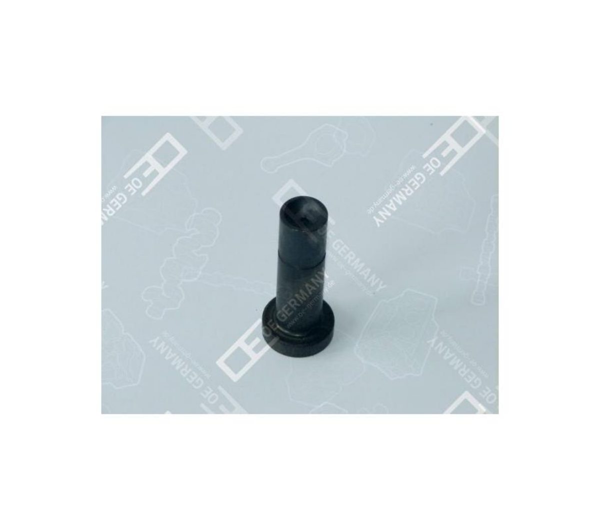 Supap Fincanı V6, V8 Turbosuz | OEM A4030541801