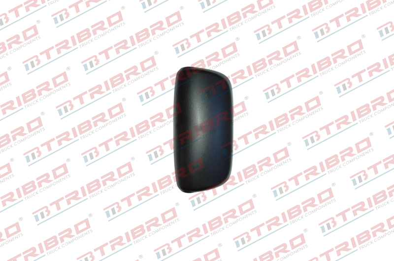 Ayna Kapağı DAF Büyük XF105-CF85 | OEM 1644325