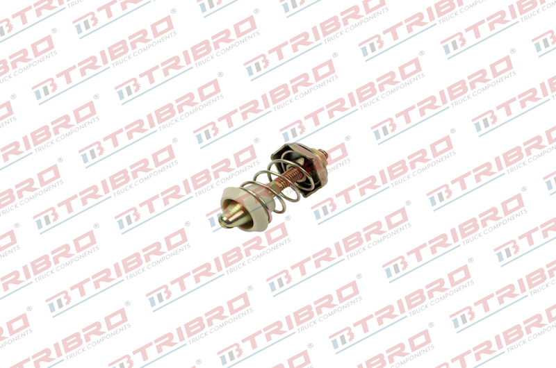Panjur Kilit Pimi Volvo Fh | OEM 20410984