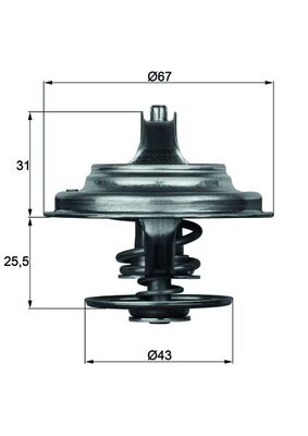 Termostat 79 °C MAN TGA 18.310, 18.320 Iveco Eurotrakker Mp 440 E 42 Ht | MAHLE TX2379D | OEM 31100040036 31100040036