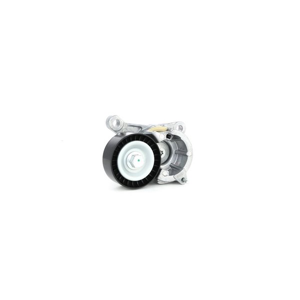 Alternator Gergi Uc Rulmani P206 Gti P607 P406 YM 806 P307 Expert P807 P407 C4 Xsara II C8 Jumpy Xsara Picasso C5 Evasion (00 05) EW10J4 (2.0 16V) P406 YM C5 P407 C6 EW12J4 (2.2 16V) 65×25 | BSC 575161 | OEM 5751.61 5751.61 9636207480 9636207480