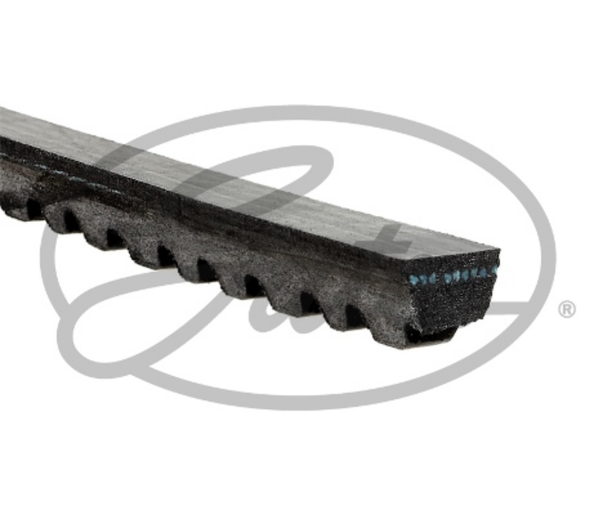 V-Kayışı (Kayış Tahriki) | OEM 0854679600