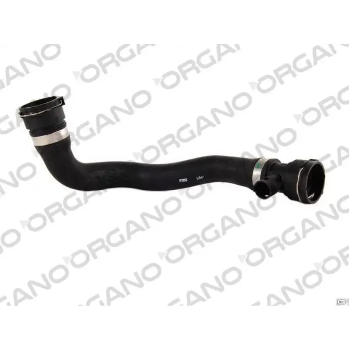 Radyator Alt Hortumu BMW E46 M43 | UCPA 21H141203 | OEM 11531436409