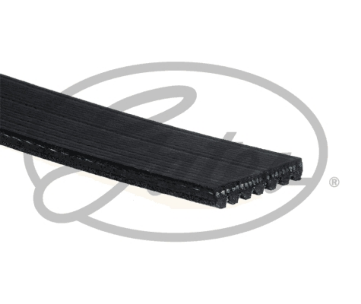 Kanalli V Kayisi 622 | OEM 11720-00Q4A
