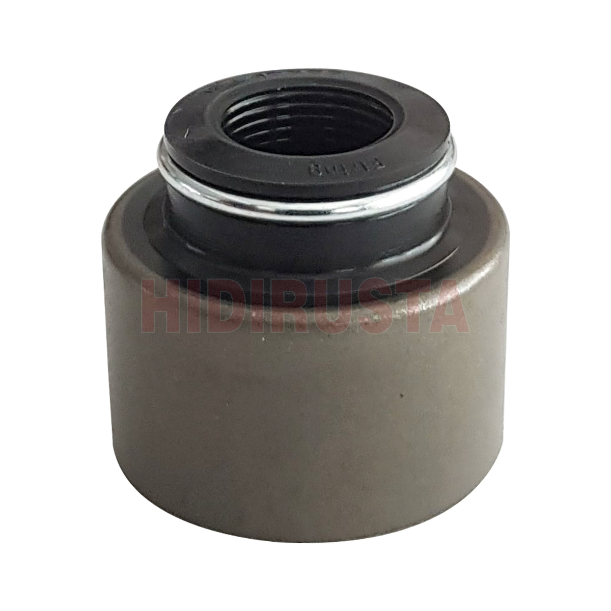 Supap Keçesi Renault Magnum E-Tech, Ae | OEM 5010284467