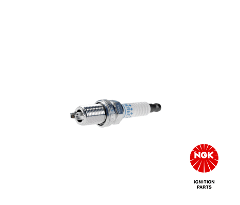 Geri Vites Plaka Lamba Sol R12 Tsw Sw | PLEKSAN 2513