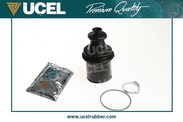 Aks Korugu Ic R12 | UCEL 10102 | OEM 7701013309