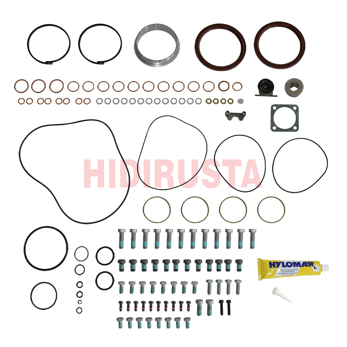 Retarder Tamir Takımı R133