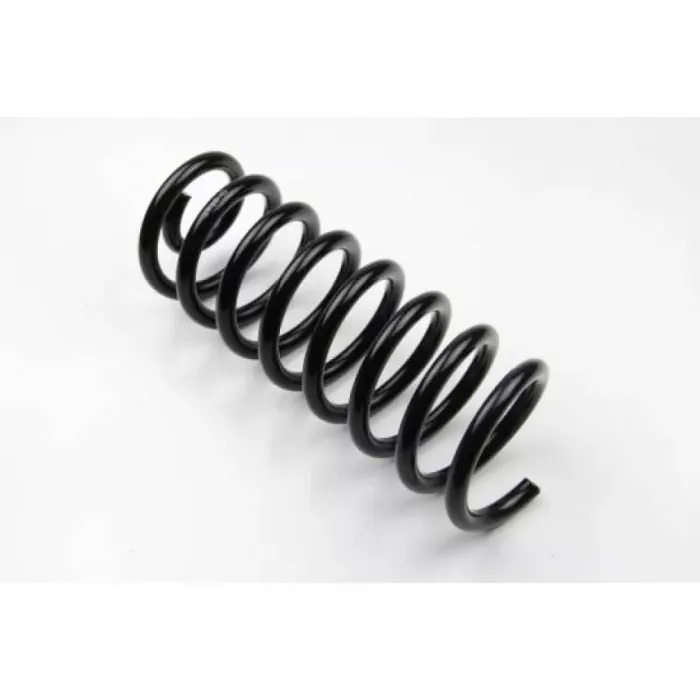 Helezon Yayi Arka Clio Symbol Logan 1,4 / 1,6 / 1,5DCI 04> | GUNSAN G020543 | OEM 6001547971
