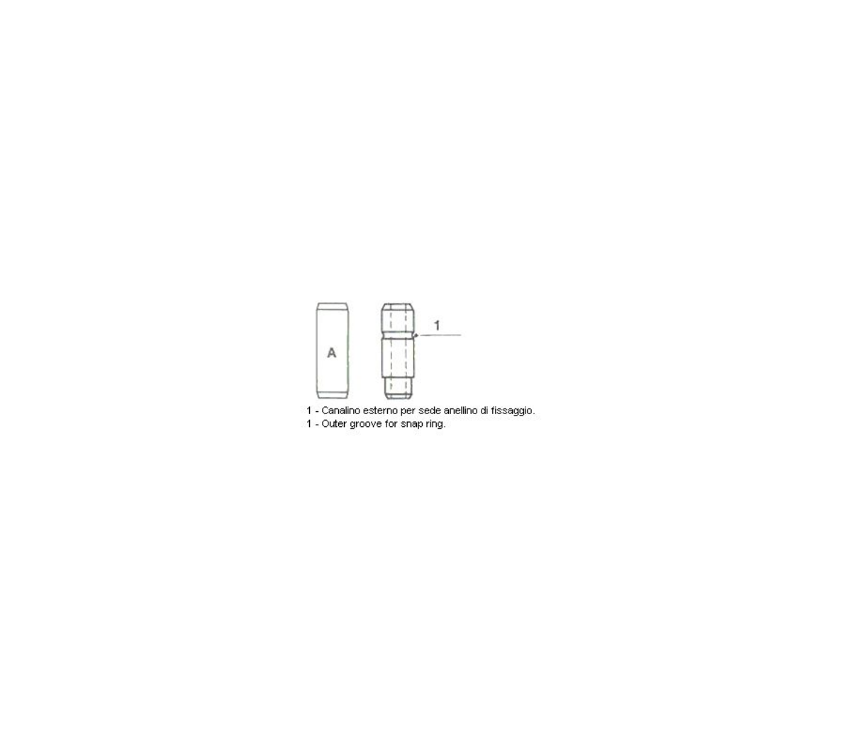 Supap Gaydı Emme 2521 | OEM A3660530729
