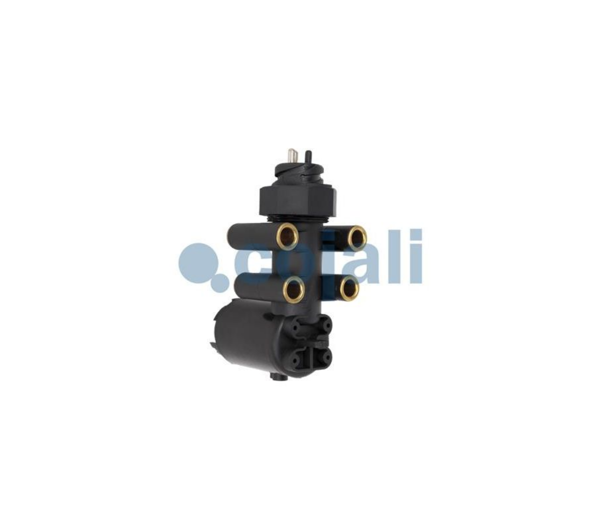 Seviye Kontrol Valfi (Arka) DAF | OEM 0003201758