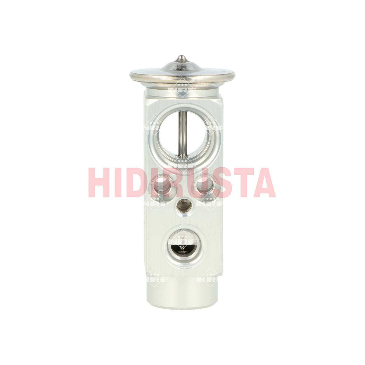 Klima Genleşme Valfi Actros | OEM A0038307384